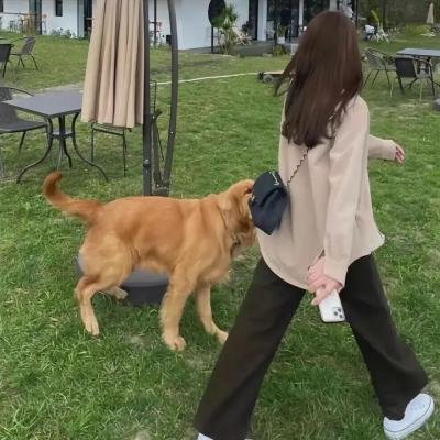 爱情理论特别篇